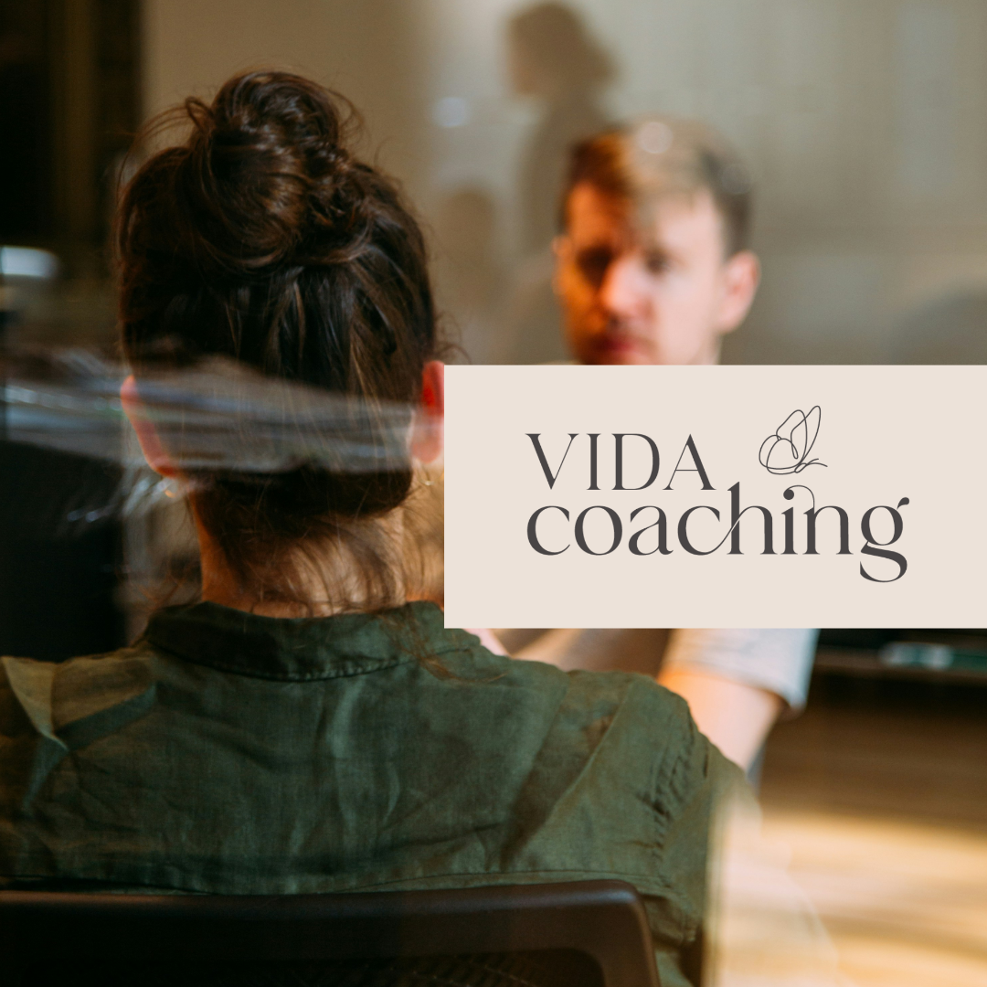 VIDA Coaching – Modification site web
