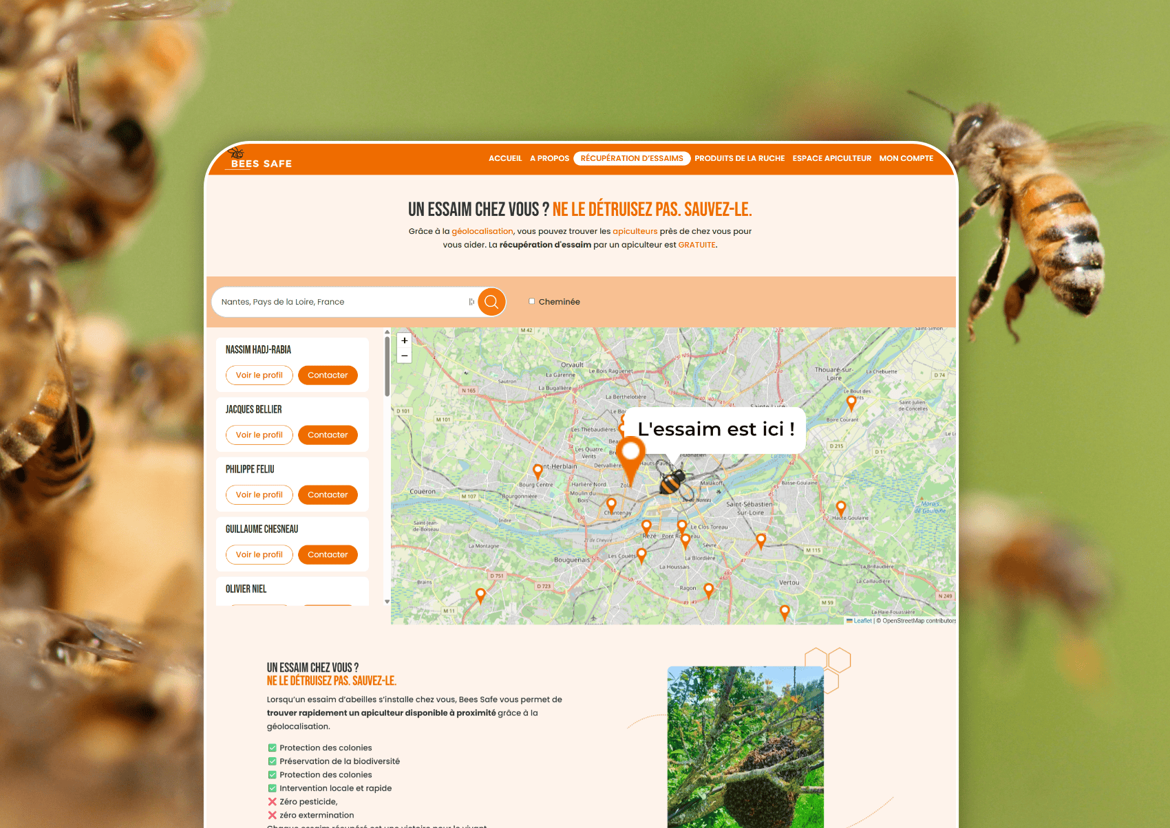 Mockup sur ordinateur du site internet WordPress dédié à la protection des abeilles et au soutien des apiculteurs locaux.