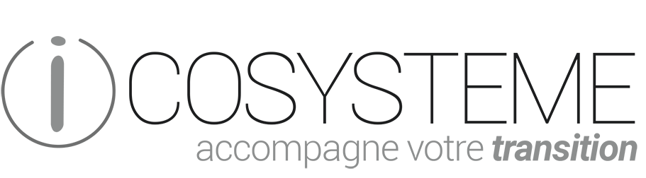 Icosysteme
