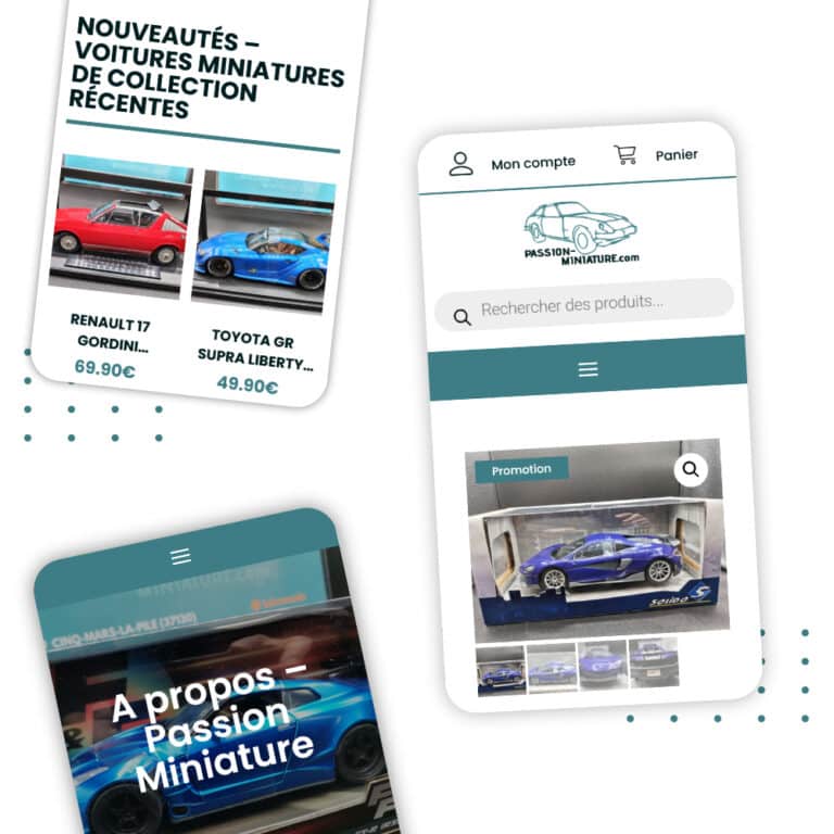 Projets 1 Passion miniature