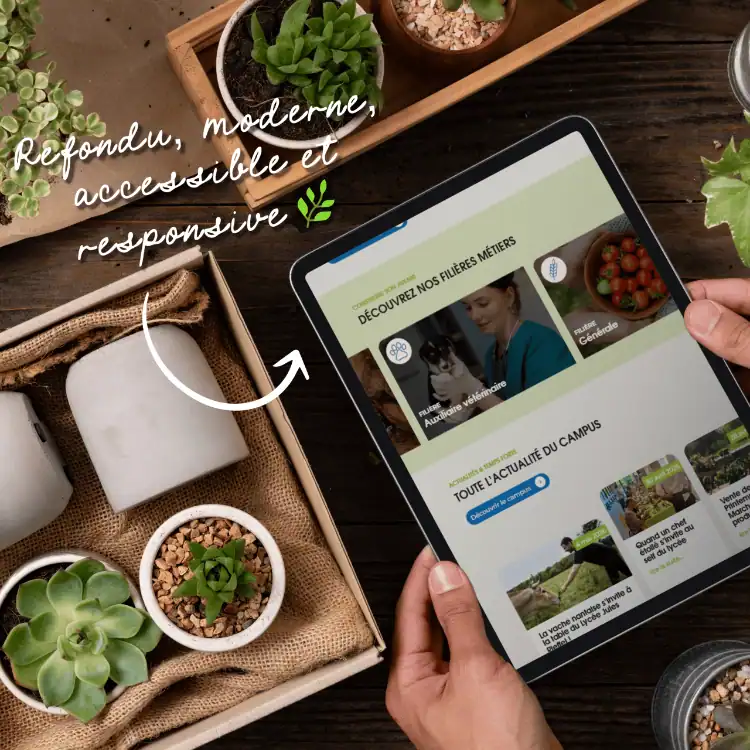 Tablette montrant le site Pineapple Squad avec plantes et accessoires modernes.